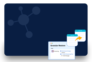Restore project from cloud backup with revyz data manager